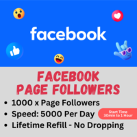 1000 x FACEBOOK PAGE FOLLOWERS