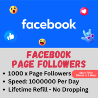 1000 x FACEBOOK PAGE FOLLOWERS