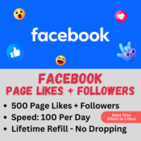 500 x FACEBOOK PAGE LIKES + FOLLOWERS