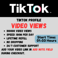 100000x TikTok Video Views