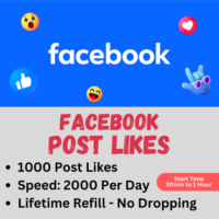 1000 x FACEBOOK POST LIKES